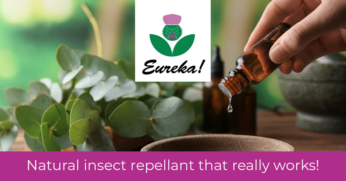 Eureka! The Best Natural Midge Repellent!